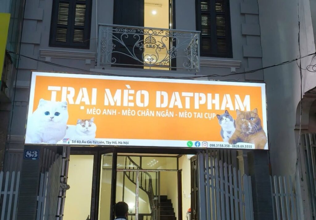 Các loại biển quảng cáo hộp đèn phổ biến